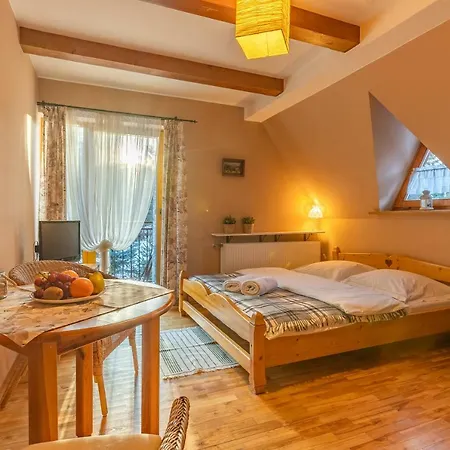 U Dudy Apartment Koscielisko Exterior photo
