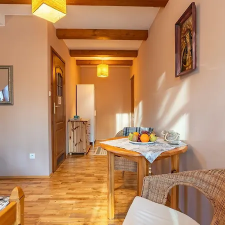 U Dudy Apartment Koscielisko Exterior photo